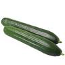cucumber carmen